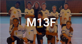 M13F