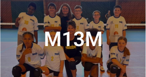 M13M