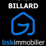 bsk immov3